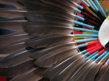 Native American Bustle - Feathers